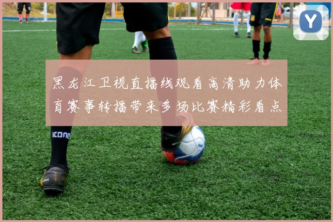 黑龙江卫视直播线观看高清助力体育赛事转播带来多场比赛精彩看点