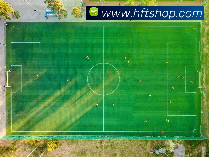 多媒体互动体验